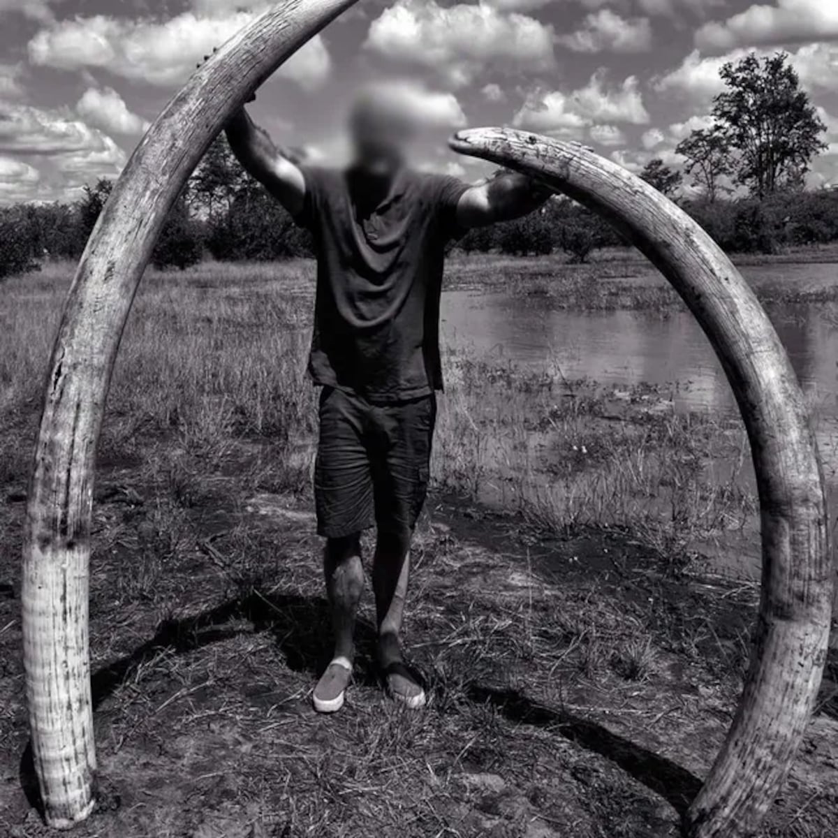 La foto que publicó Leon Kachelhoffer junto con los colmillos del elefante. (Facebook)