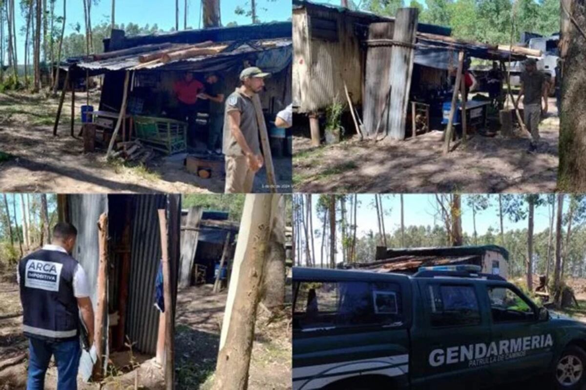 Juicio por explotación laboral: condenaron al dueño y al capataz de campo en Puerto Yeruá.