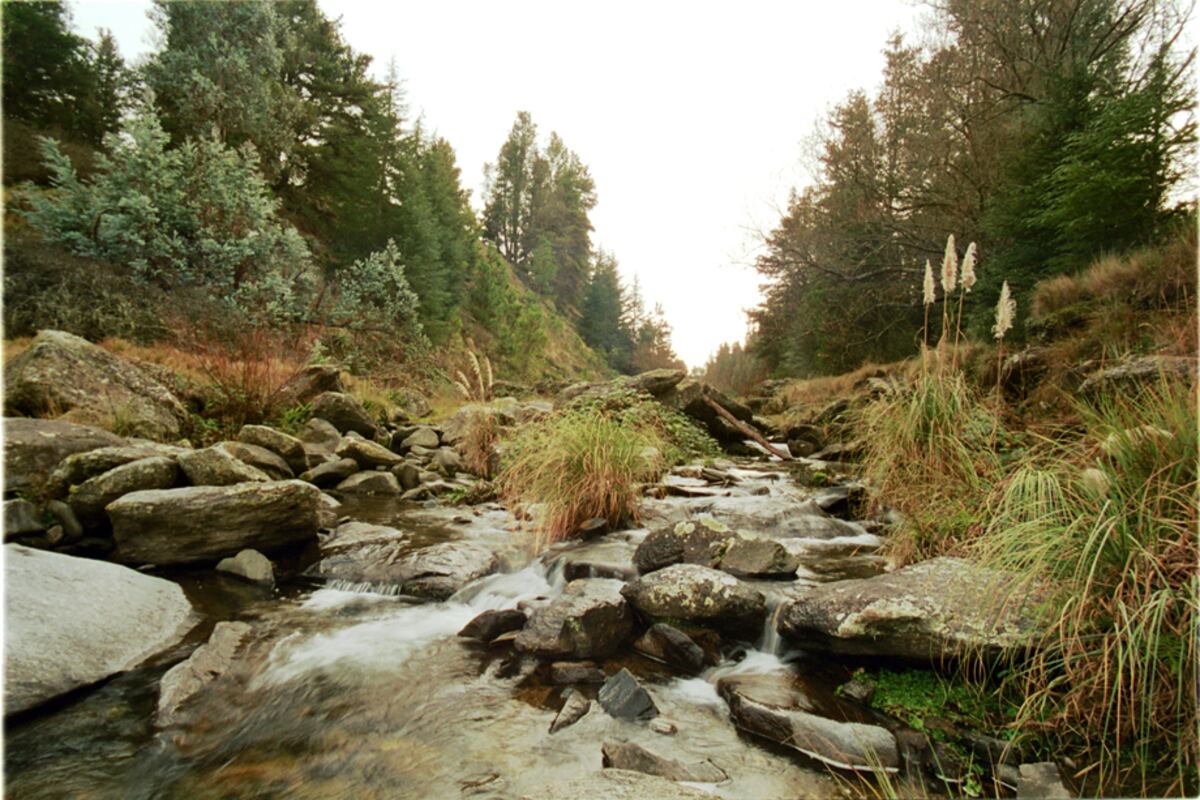 Alpa Corral, un destino increíble en las Sierras del Sur de Córdoba. (Foto: Agencia Córdoba Turismo)