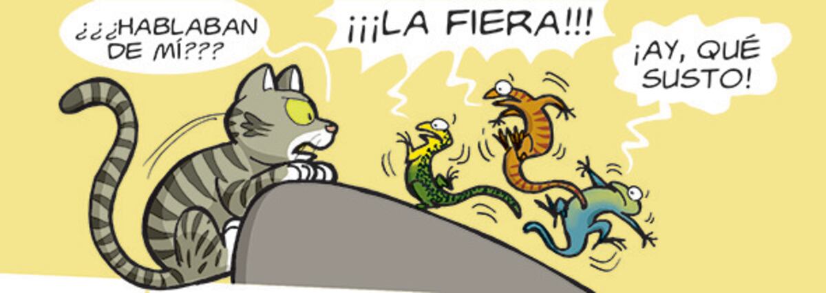 "La saga de los distintos. Vol 2", de Chanti (Planeta Junior)