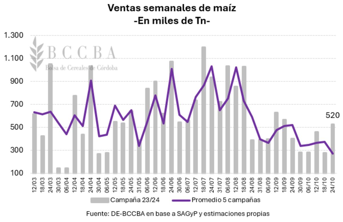 Soja maíz