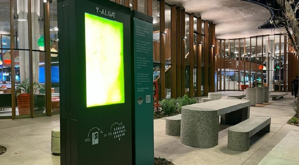 Así es el dispositivo llamada Y-ALGAE. (INBIOTEC - Redacción)