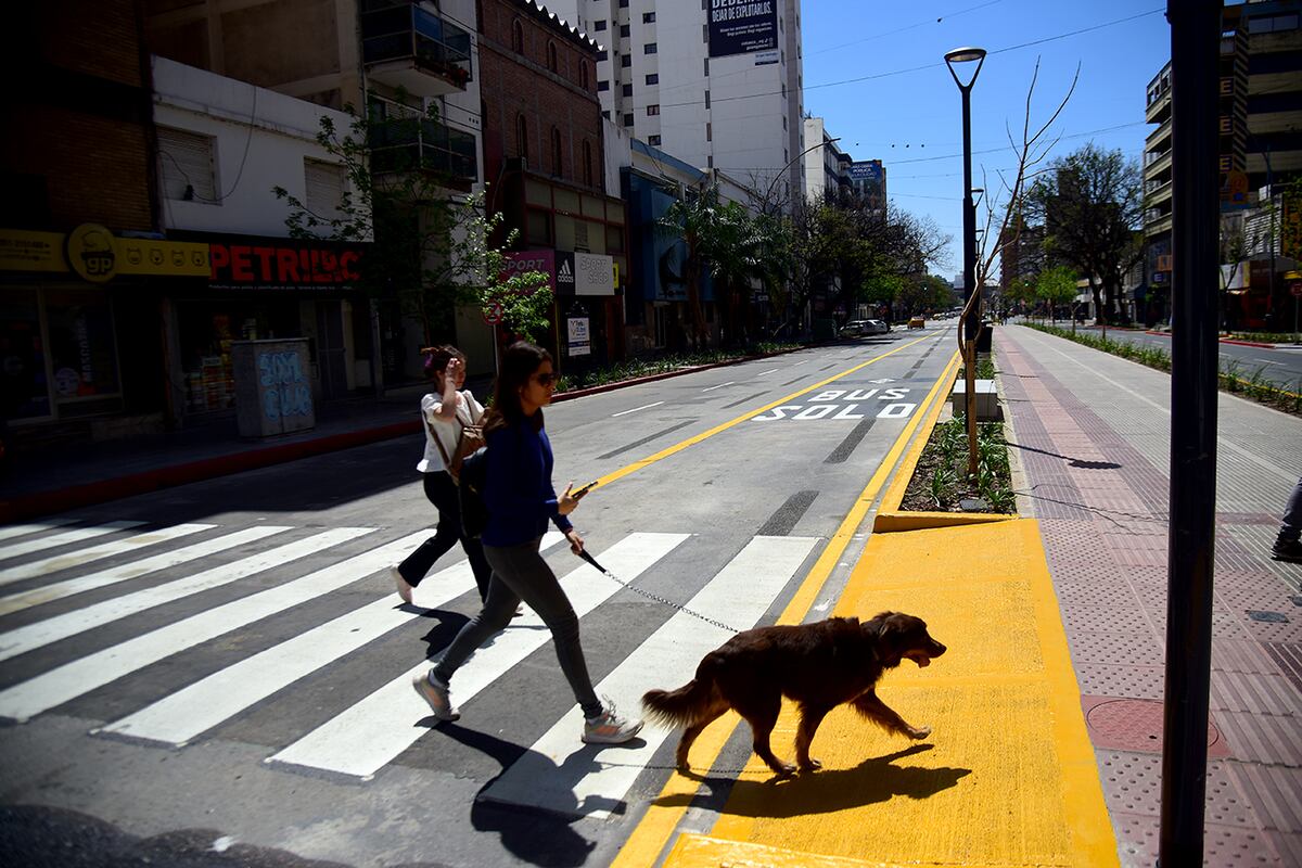 Habilitan nuevo tramo de la bulevarización en avenida Maipú, entre Olmos y Sarmiento. (Pedro Castillo / La Voz)