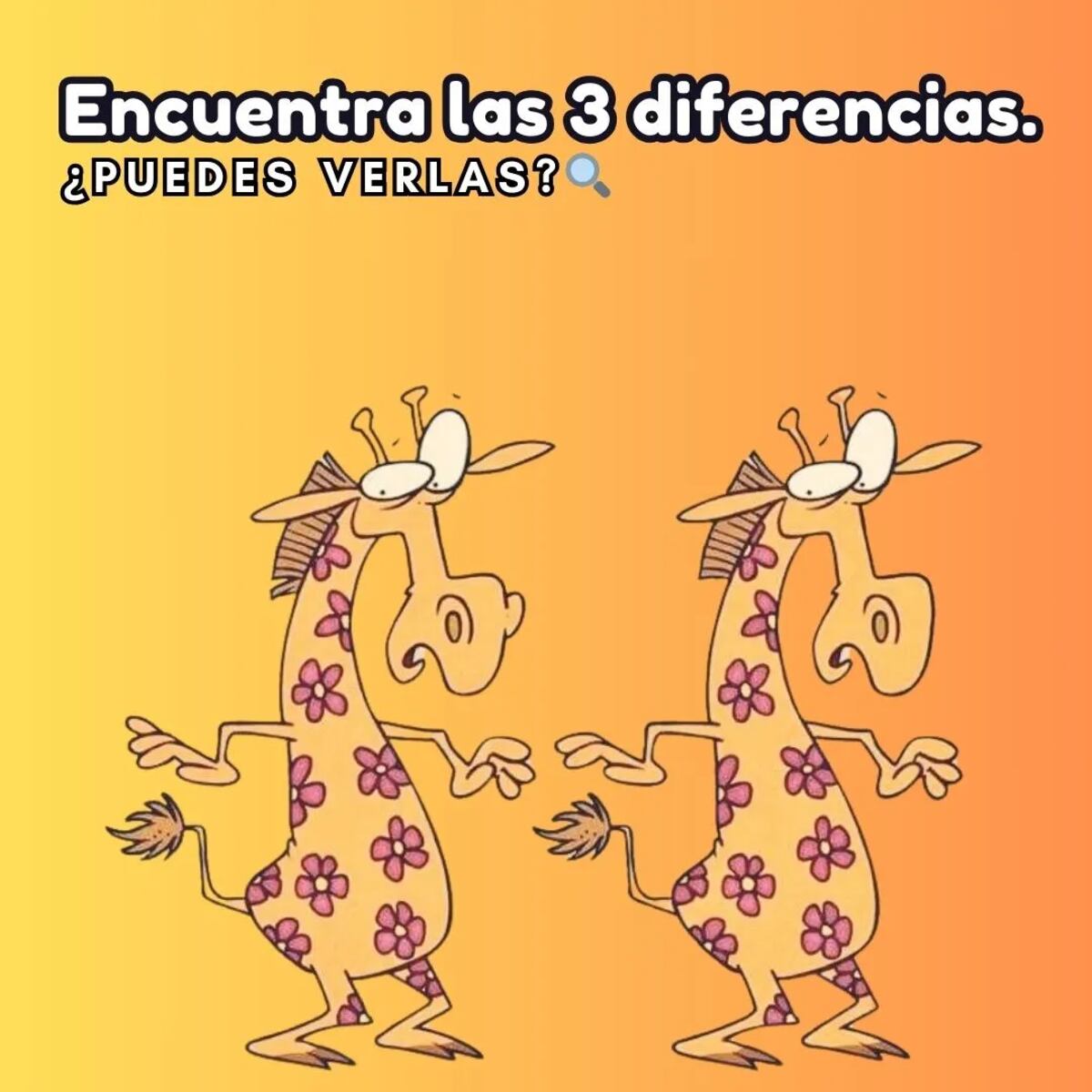 El acertijo visual.