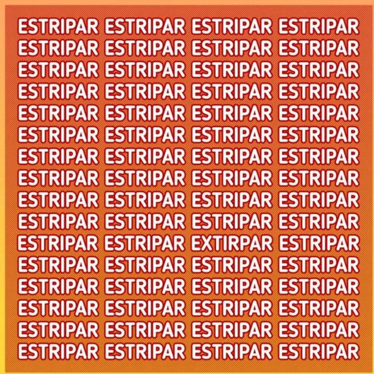 El acertijo.