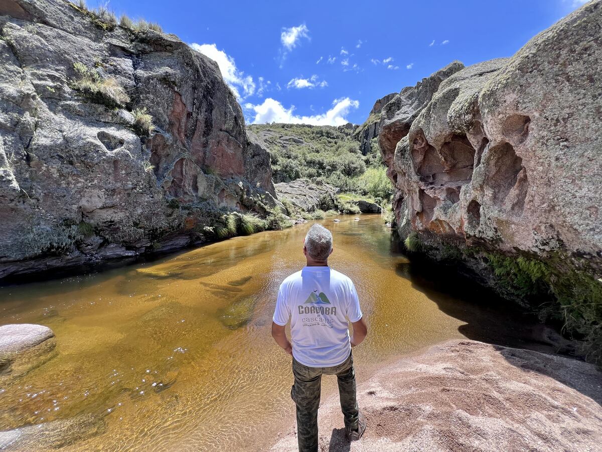Imagen de la nota