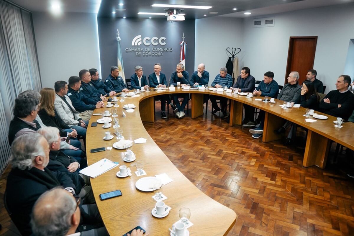 Convenio entre comercios y Ministerio de Seguridad para el uso de cámaras de seguridad privadas para prevención.