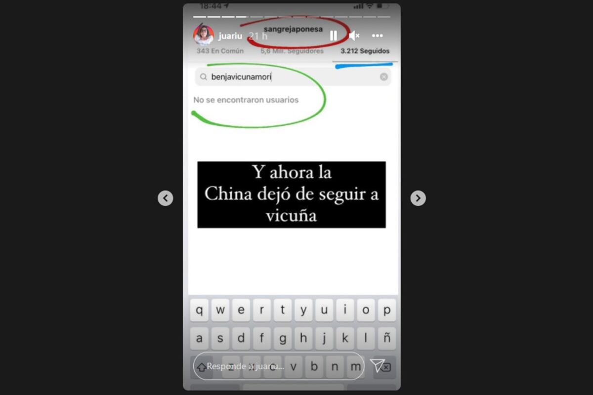 Vicuña y China Suárez desconectados en las redes (Captura de Instagram Juariu).
