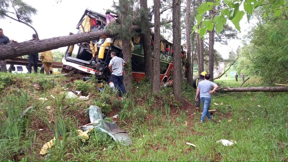 El micro que viajaba desde Puerto Iguazú hacia Posadas. (TN / Gentileza de Primera Edición, de Misiones)
