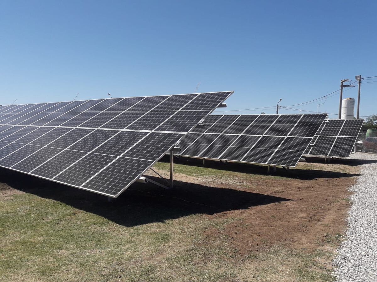 En Oncativo, la cooperativa instaló 168 módulos fotovoltaicos para generar energía solar. (LA VOZ)