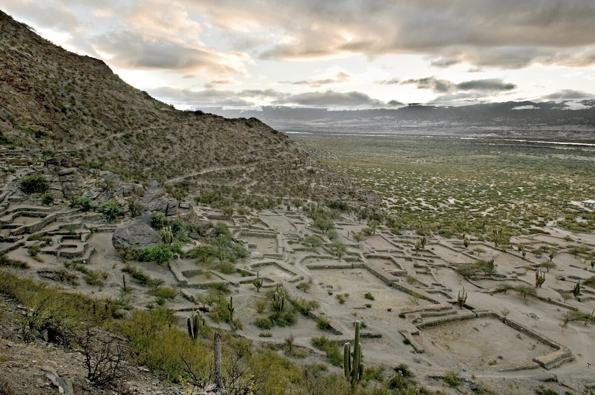 Un recorrido por los Valles Calchaquíes de Tucumán, encuentro con la naturaleza. (Foto: La Ruta Natural)