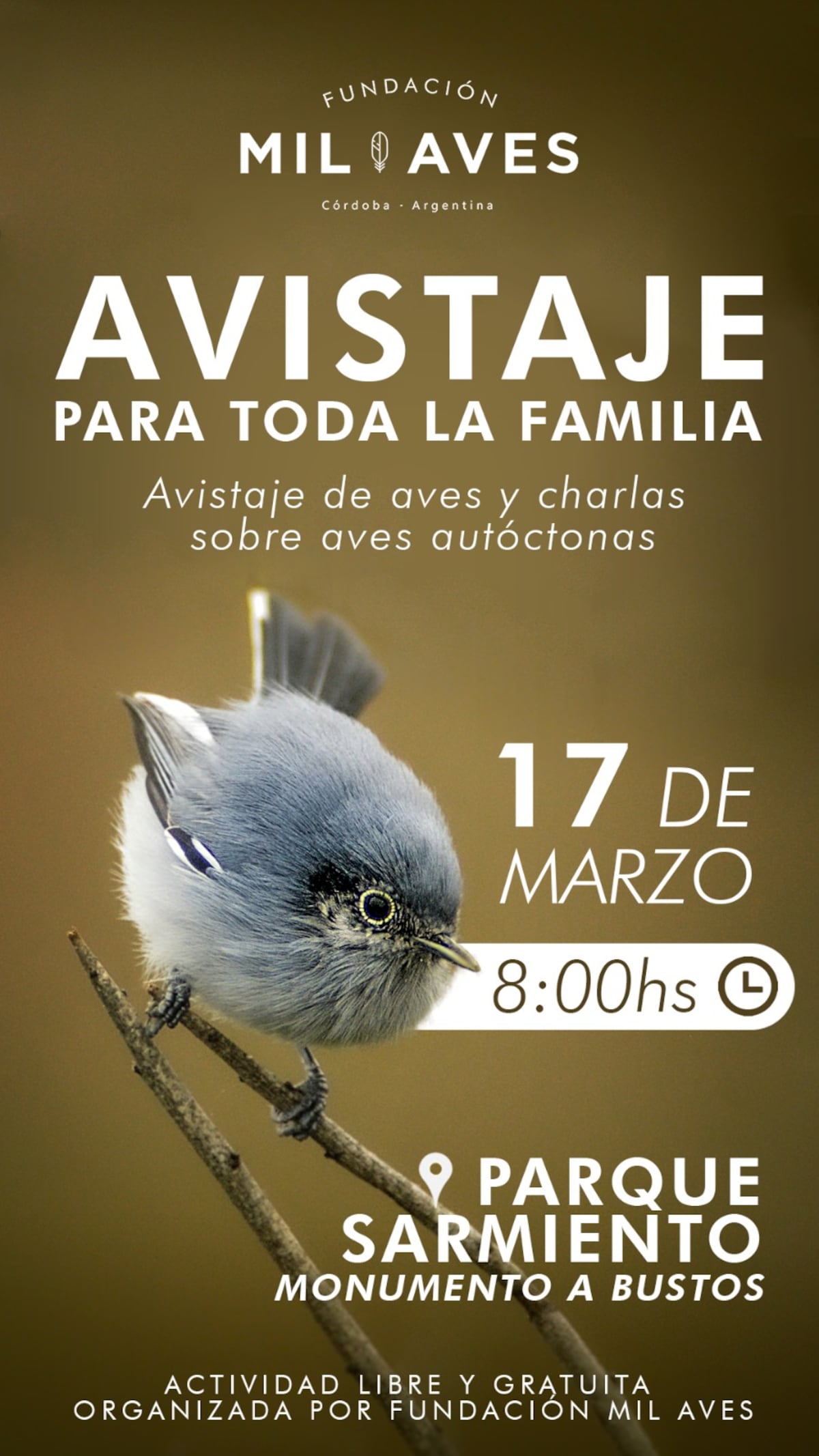 Avistaje de aves en la ciudad de Córdoba