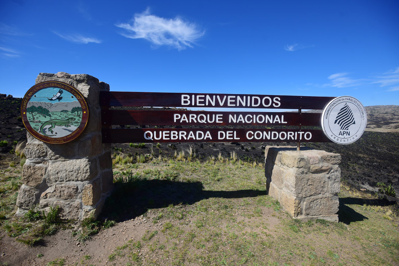 Parque Nacional Quebrada del Condorito, días después del incendio. (Nicolás Bravo / La Voz)