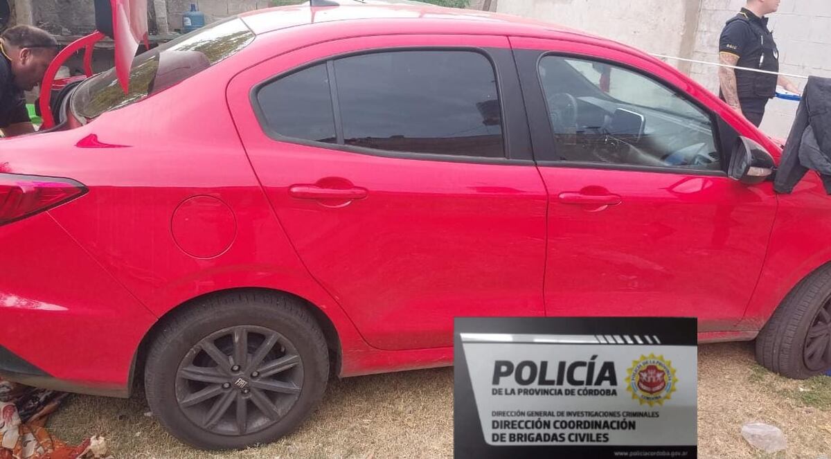Allanamientos con secuestros de drogas y armas. (Policía)