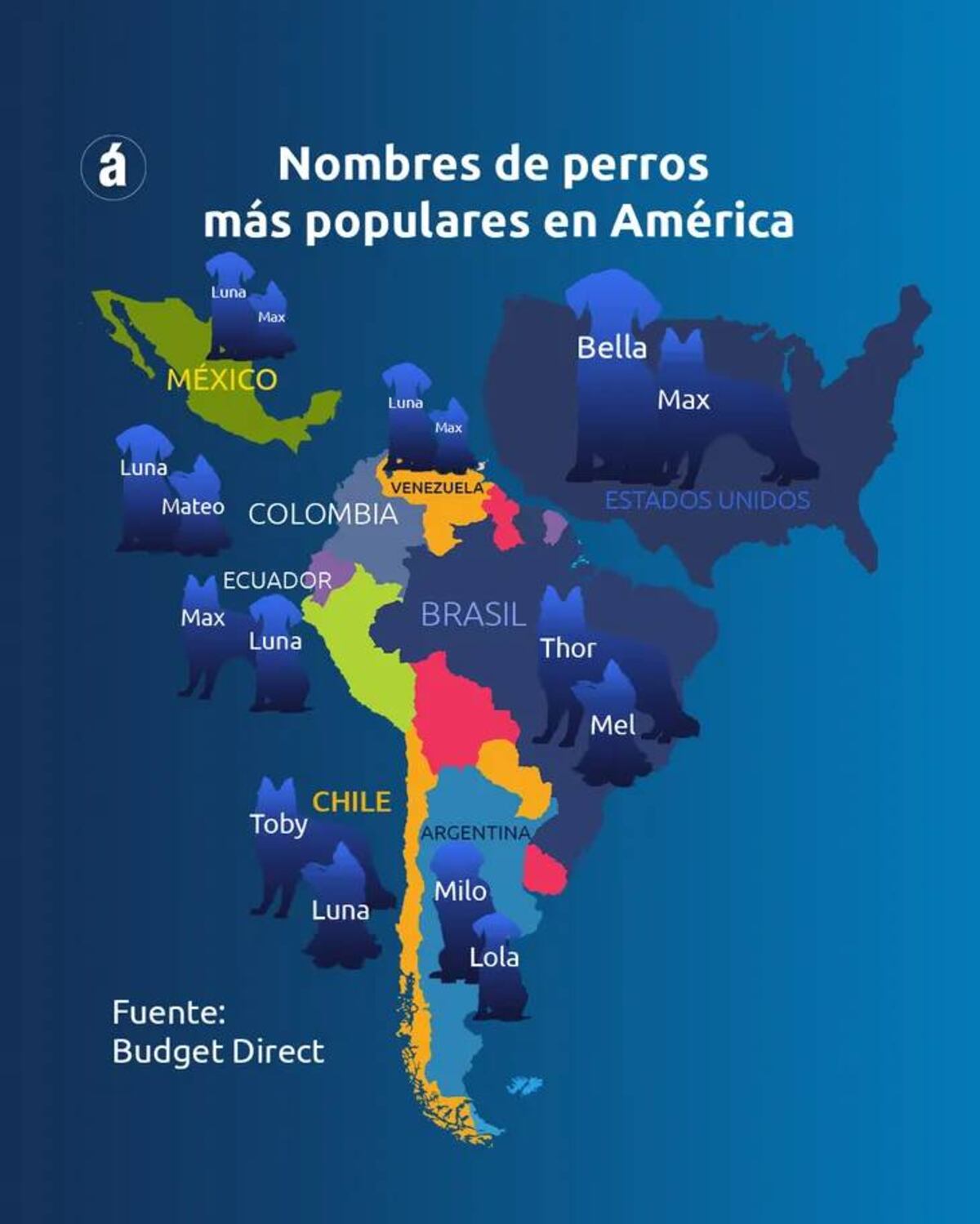 Una encuesta determinó cuáles son los nombres para perros más usados en Argentina.