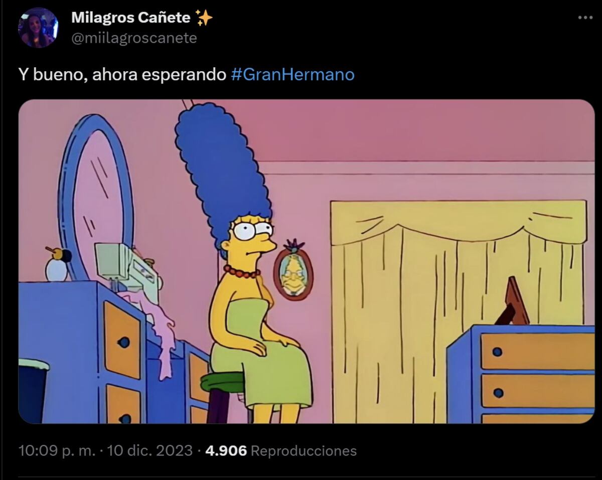 Volvieron los memes de Gran Hermano (Captura de pantalla)