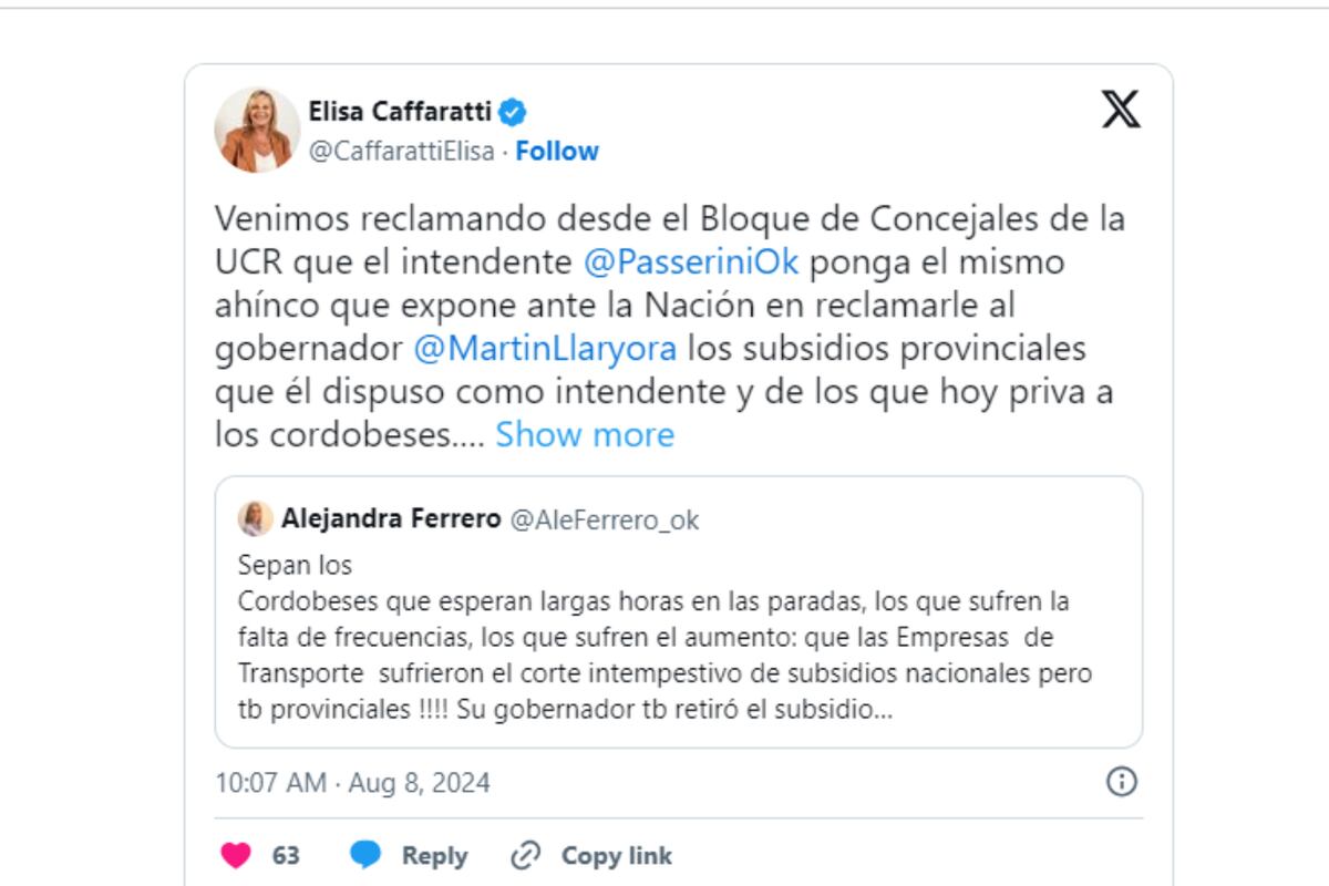 La concejal Elisa Caffaratti y la legisladora Alejandra Ferrero, hicieron oír sus críticas al Gobierno provincial y municipal respecto a los subsidios del transporte. (Captura de X)