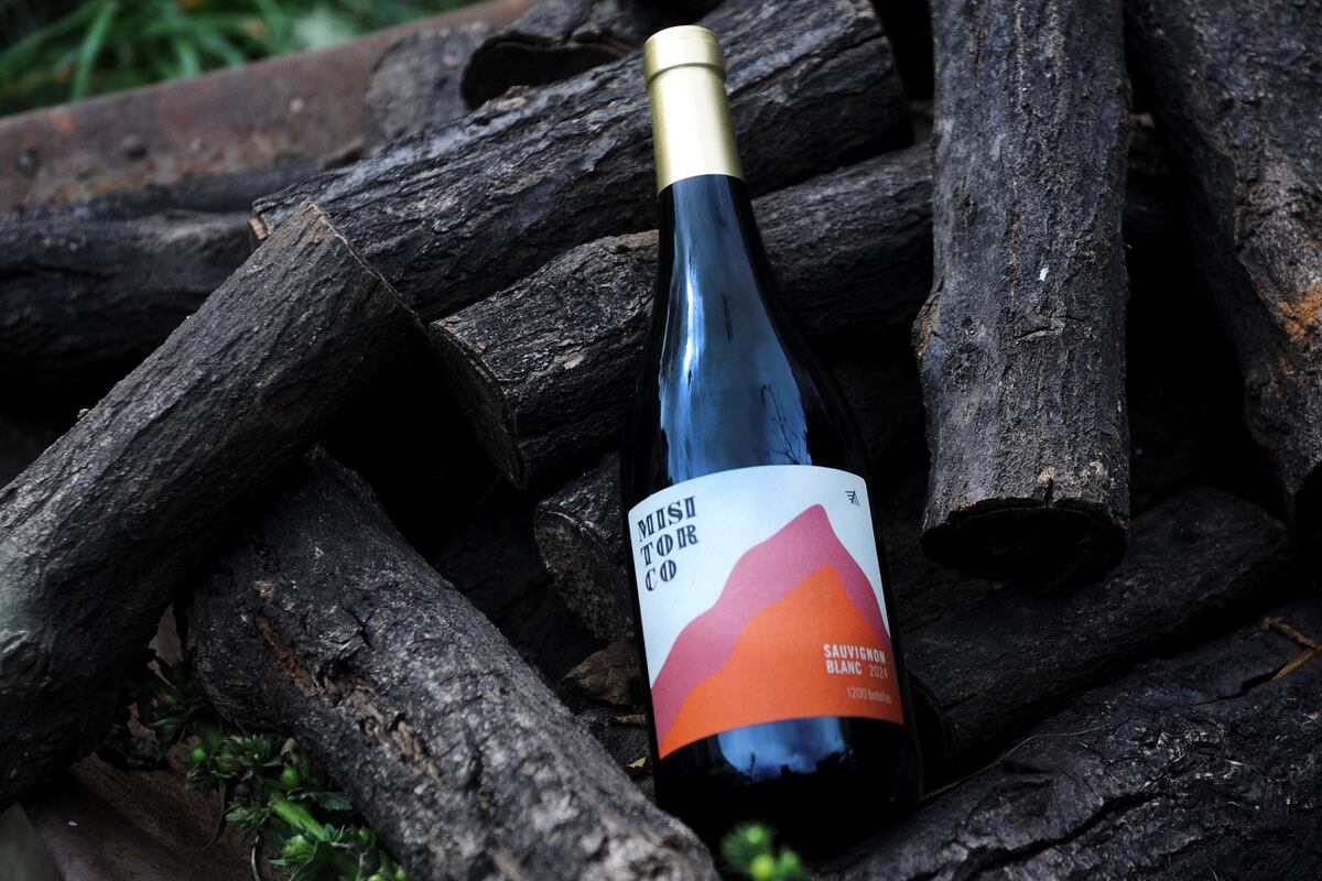 Selección de vinos sauvignon blanc: etiquetas recomendadas. (javier Ferreyra).