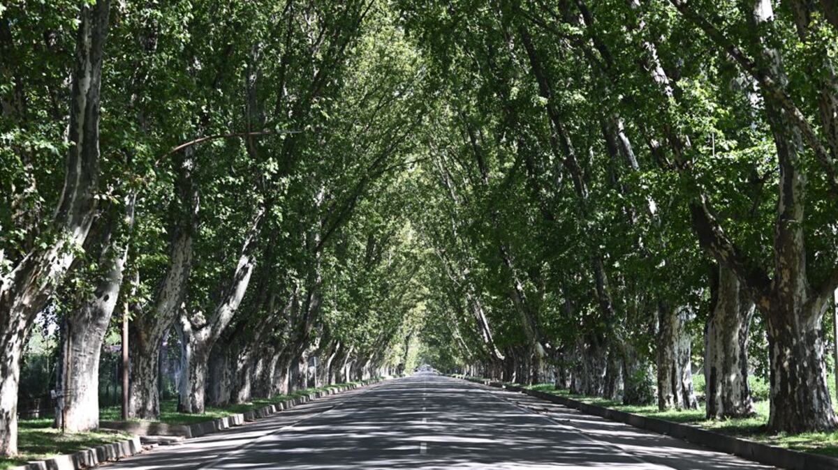El "túnel natural" sorprende a locales y turistas al norte de Córdoba.
