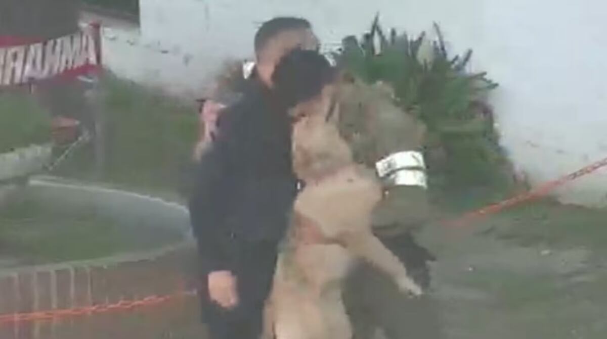 La Policía rescató a Zami, una golden retriever, que fue robada: así fue el reencuentro con sus dueños. (Policía de Córdoba).