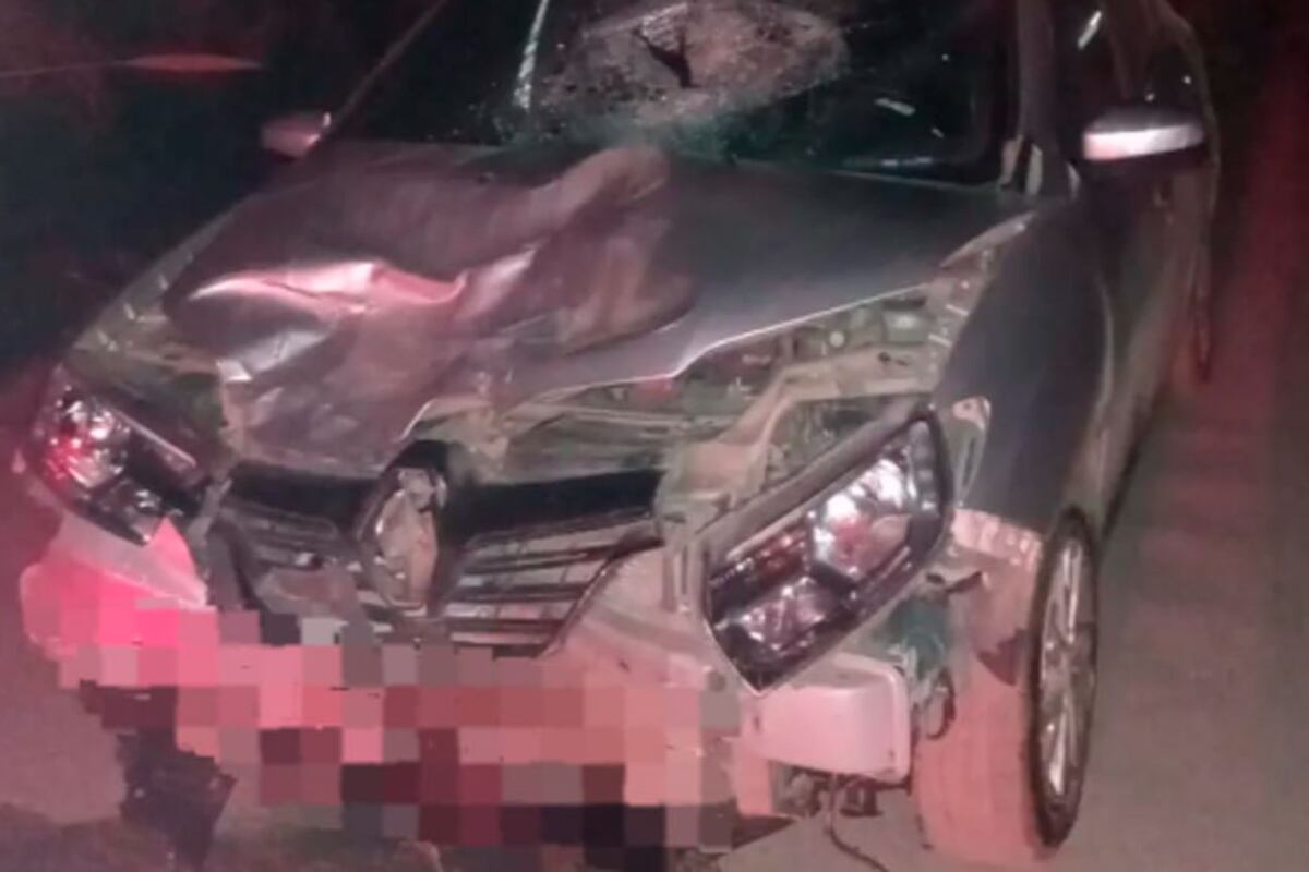 El auto. (Policía)