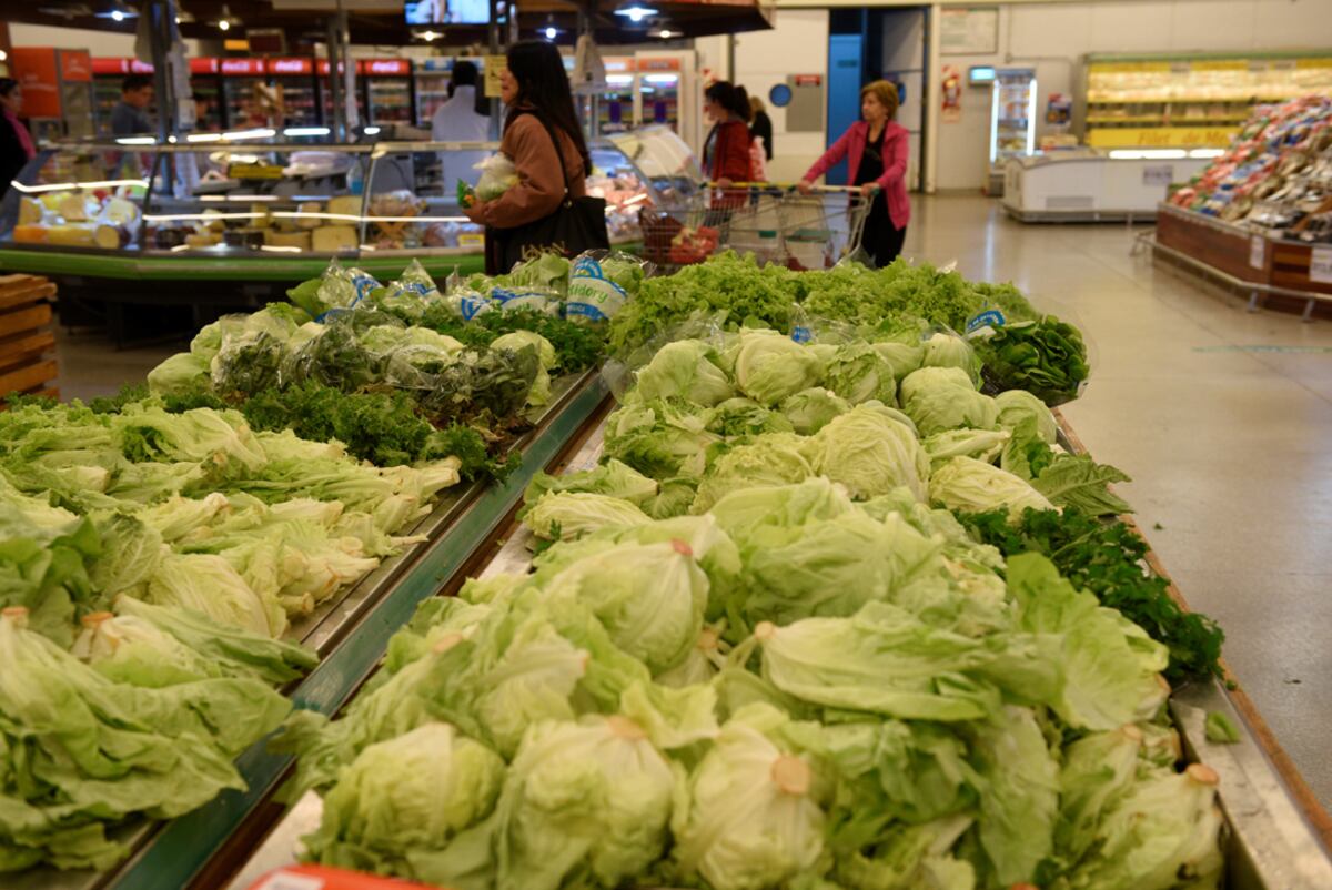 La lechuga, una de las verduras que más sufre por los cambios climáticos. (foto ramiro pereyra)