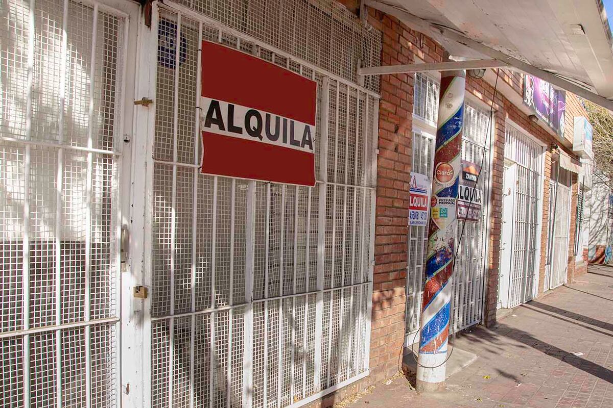 Los referentes estiman que a mediano plazo los precios de mercado
empezarán a encontrar un equilibrio o parámetros más estables.