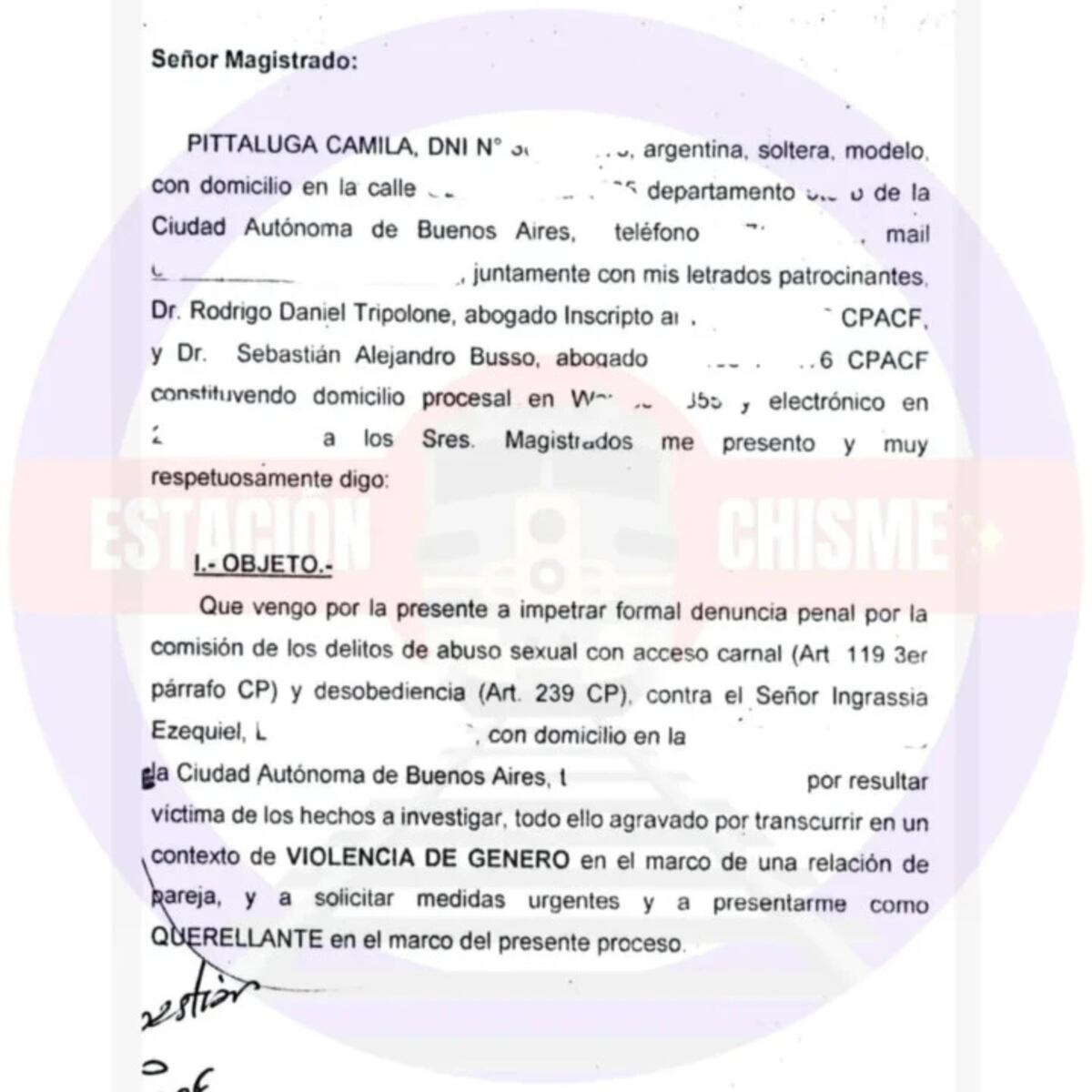 La denuncia de Camila Pittaluga. (Captura)