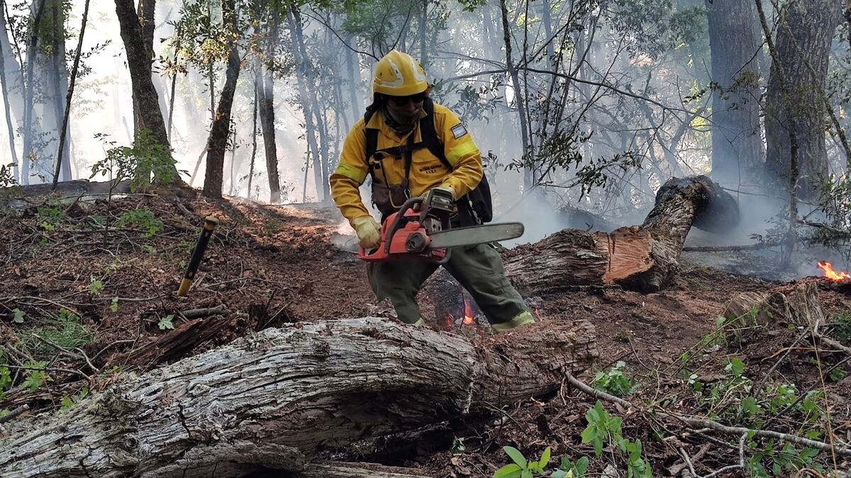 Bomberos cordobeses ya colaboraron años anteriores en incendios en el sur del país.(Gentileza)