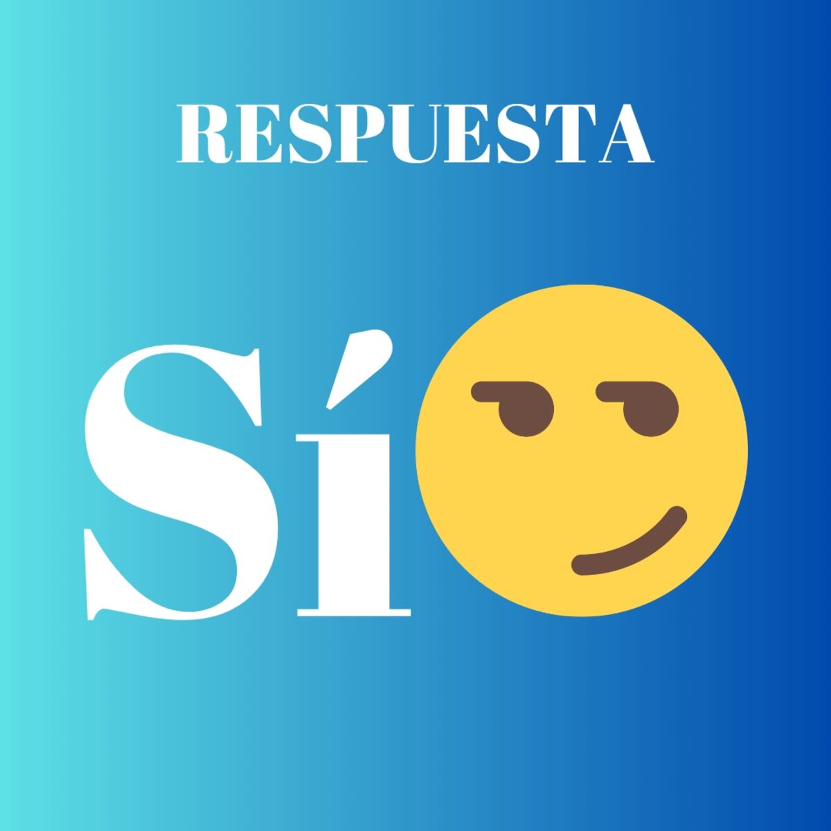 El acertijo visual.