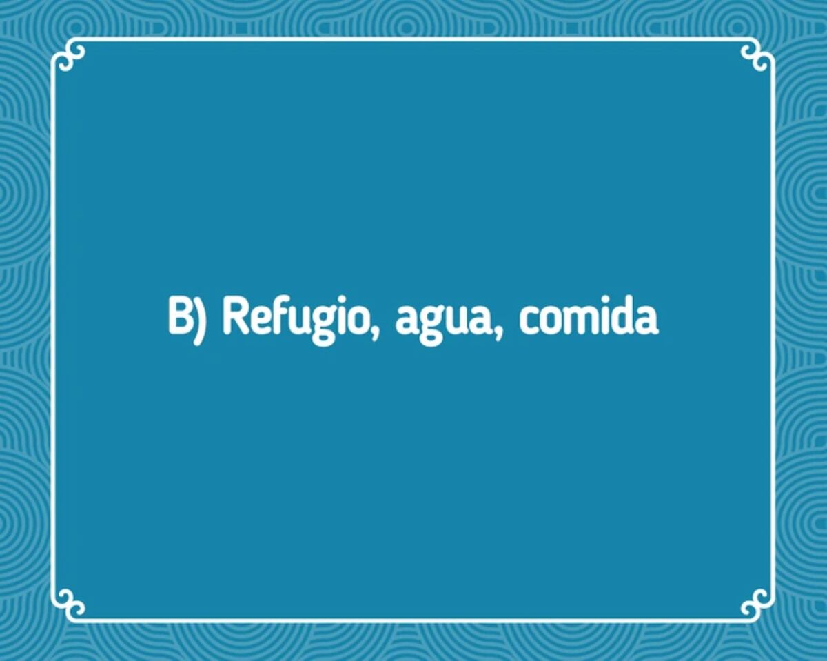 La solución del reto.