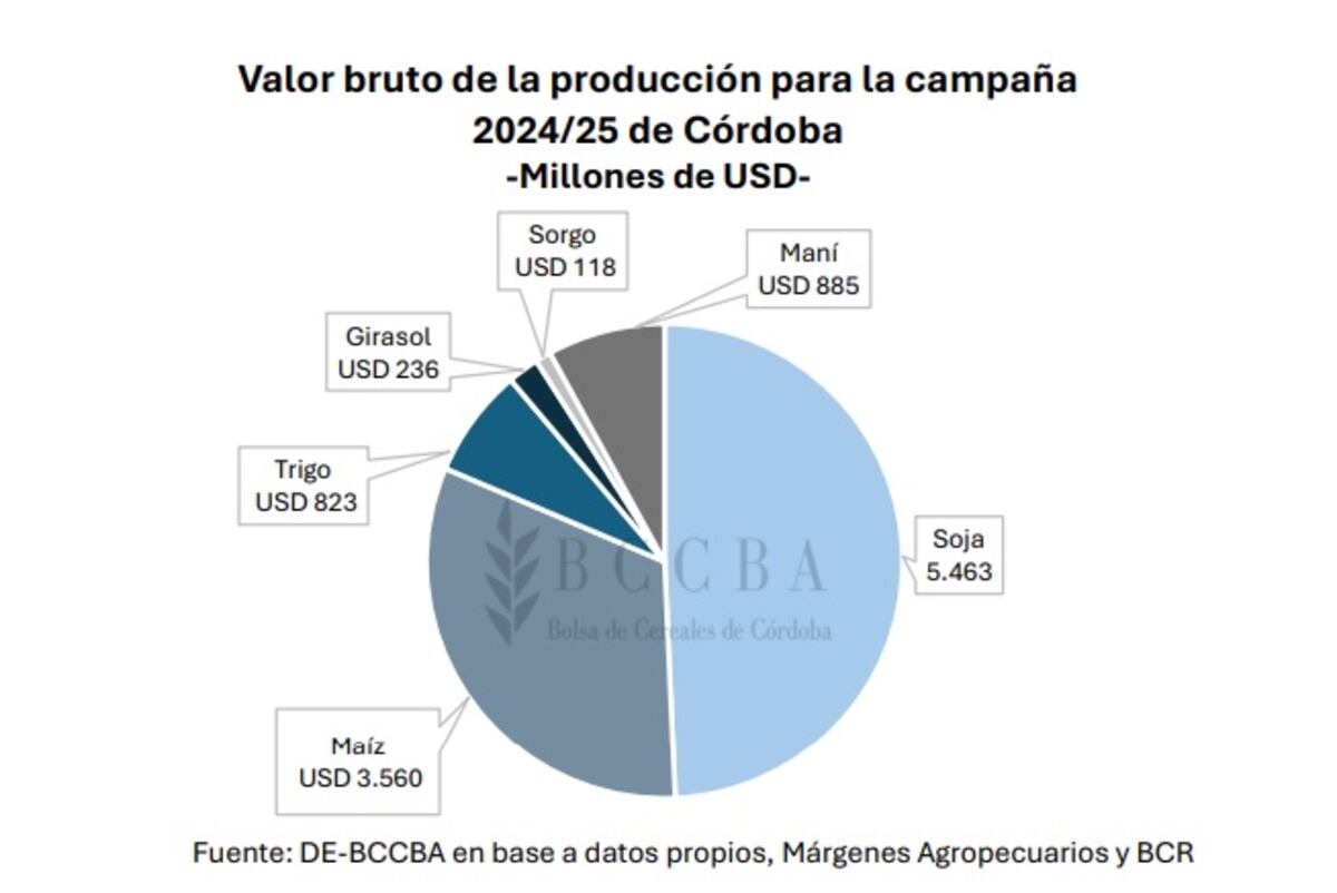 Valor bruto de la producción para la campaña 2024/25 de Córdoba.