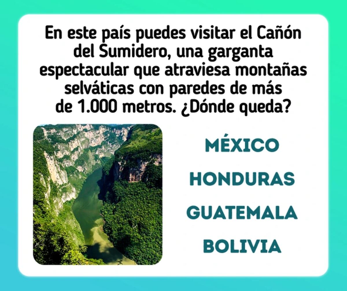 El acertijo visual.