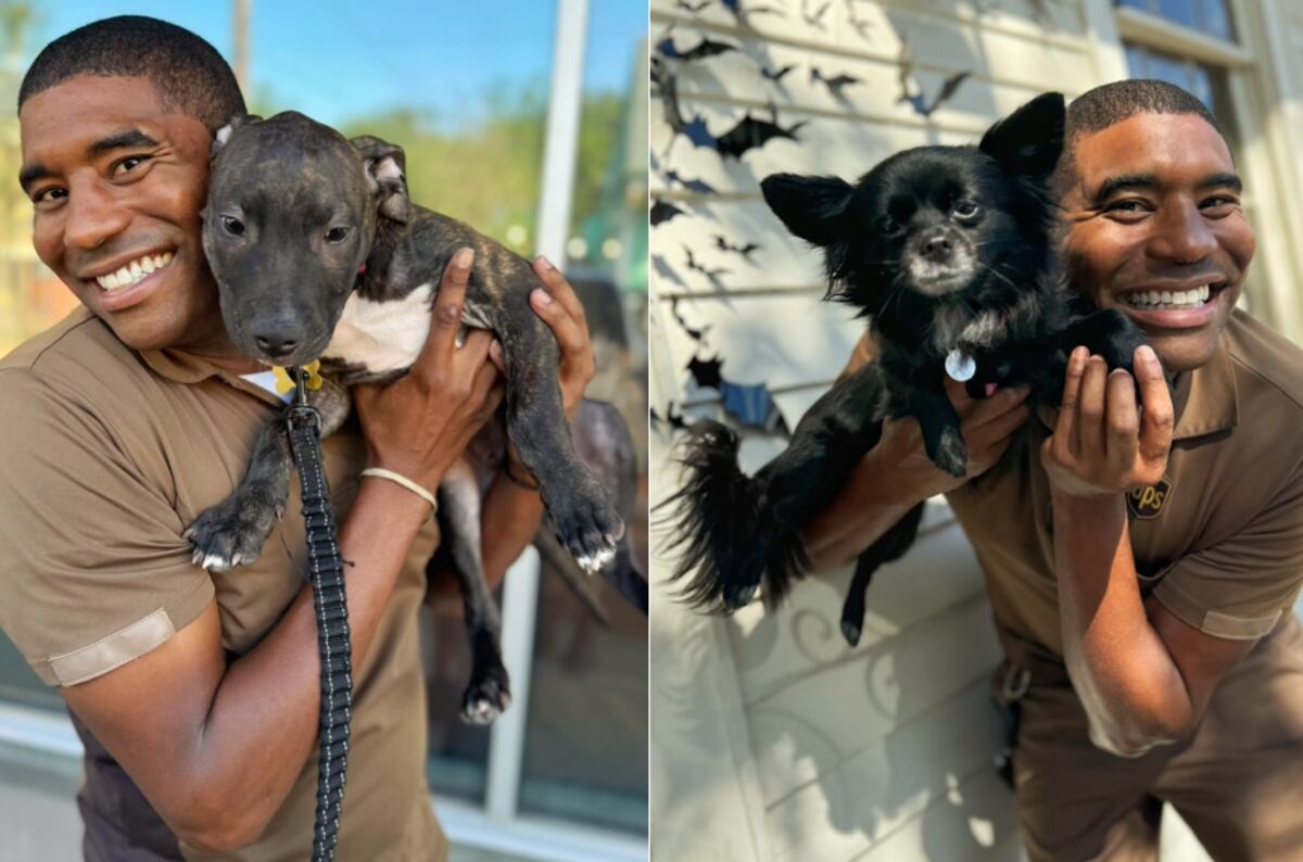 Se saca fotos con perros.