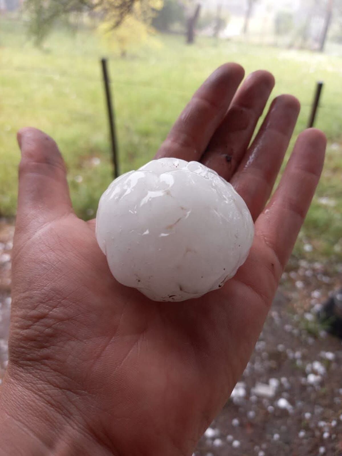 Granizo en Potrero de Garay y Amboy. (Gentileza)