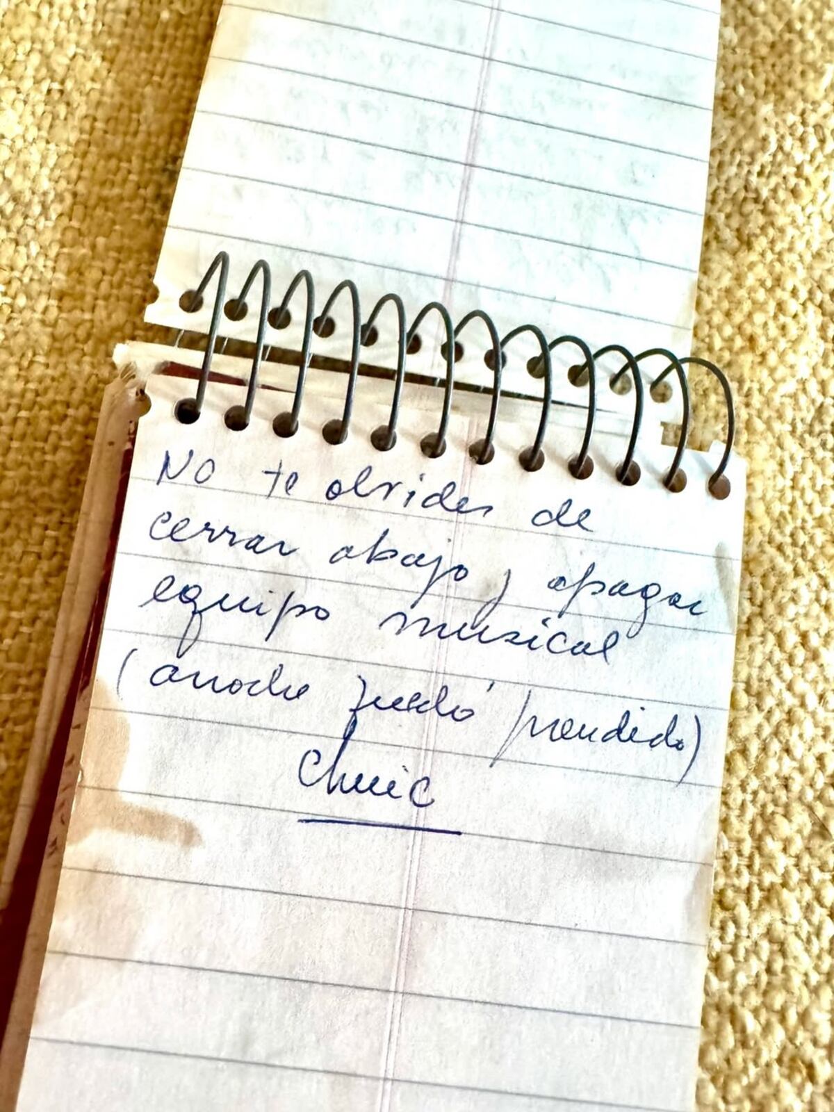 Notas de Lilian Clark a Gustavo Cerati.
