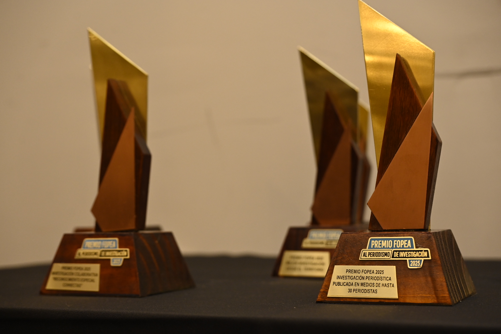 Premios Fopea 2025 (Fopea)