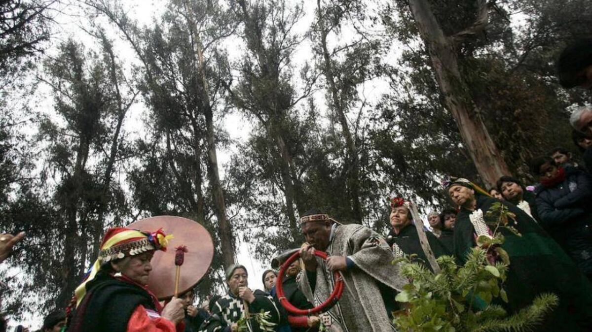 Nuestros mapuches, su historia y su actualidad