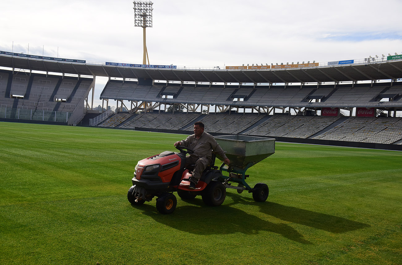 Los trabajos en el césped del Estadio Mario Alberto kempes. (José Gabriel Hernández / La Voz)