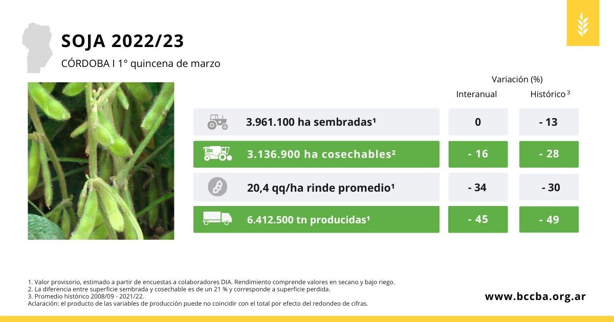 Sequía campo cultivos Córdoba