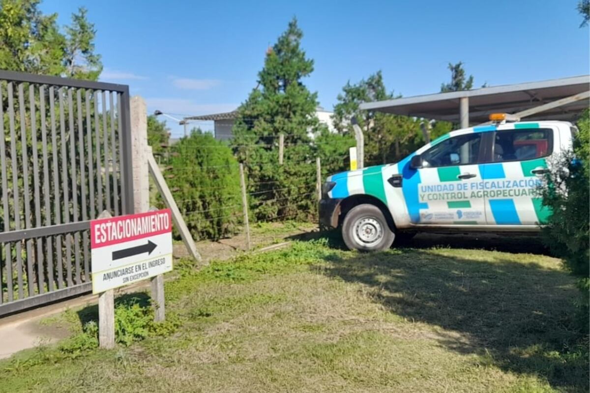 Los procedimientos estuvieron a cargo del Ministerio de Bioagroindustria. (Prensa Gobierno)