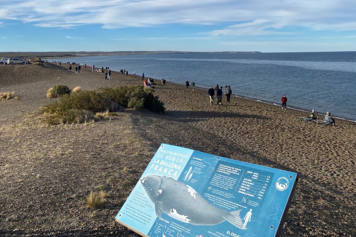 En el mapa de las mejores playas de Sudamérica, Argentina ahora tiene un lugar destacado gracias a Las Canteras.