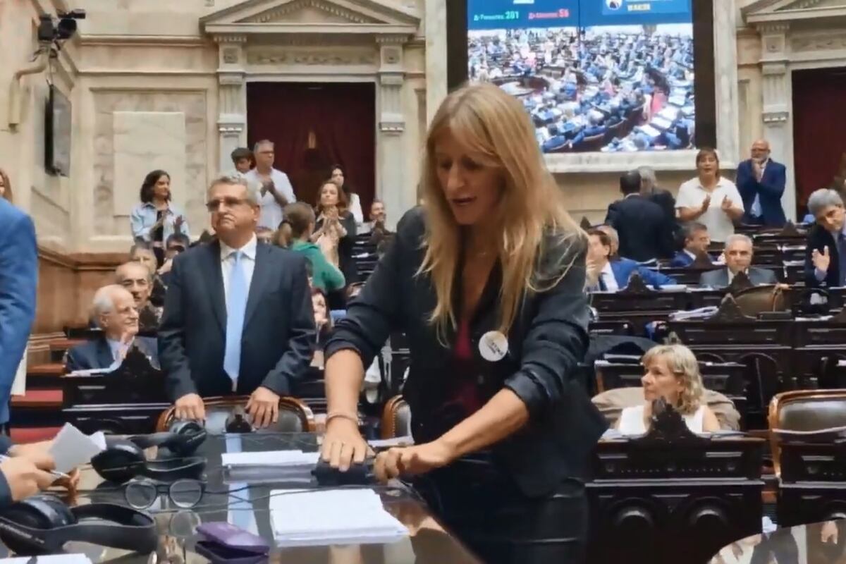 Lemoine y Carignano, a los gritos en plena sesión por la reforma laboral: “¿Qué haces, estás loca?”