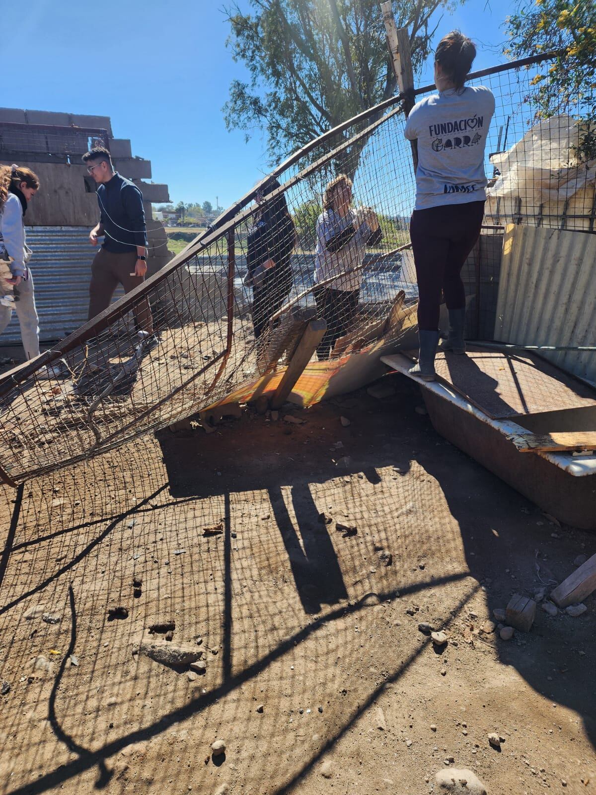 Con 17 años perdió el control de un BMW y destruyó un refugio de animales: cómo ayudar