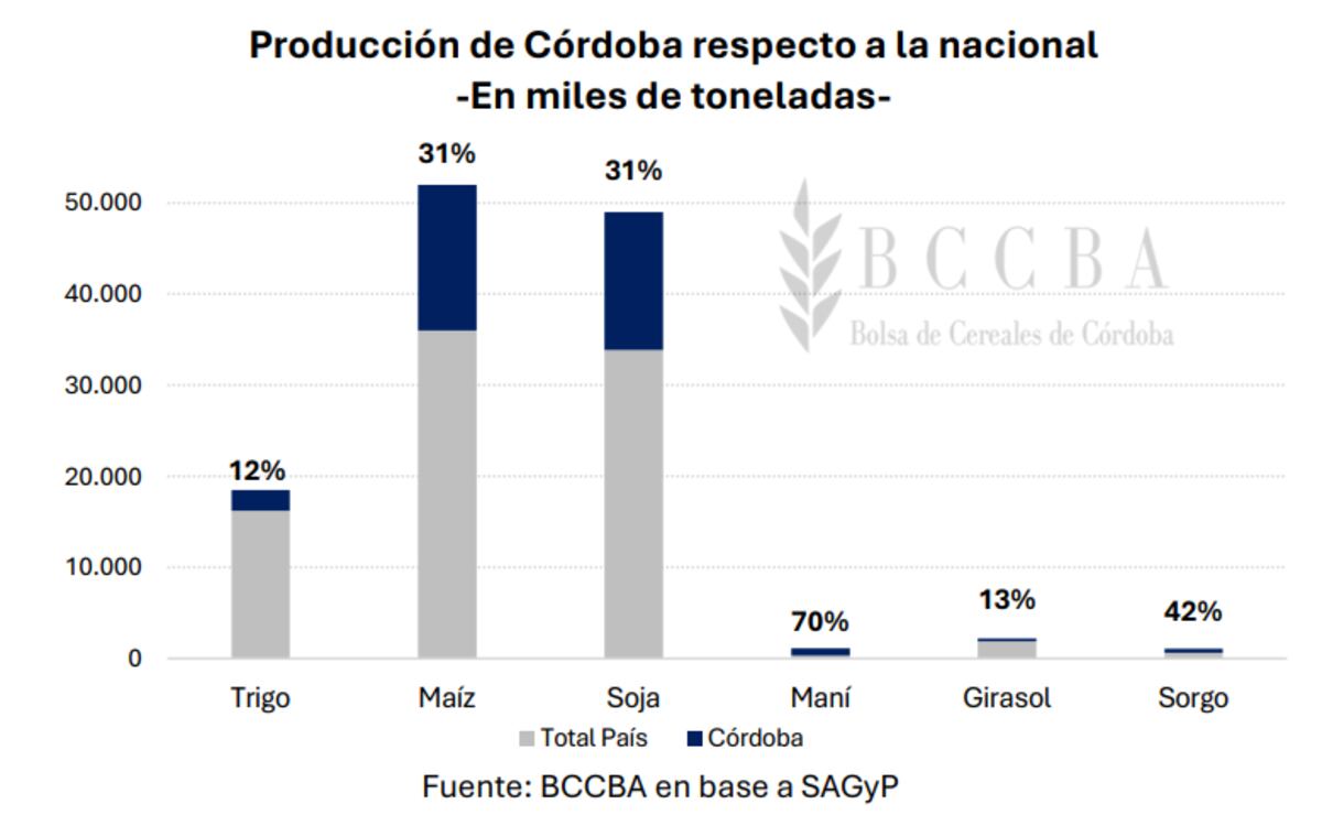 Producción de Córdoba en comparación a la producción total del país.