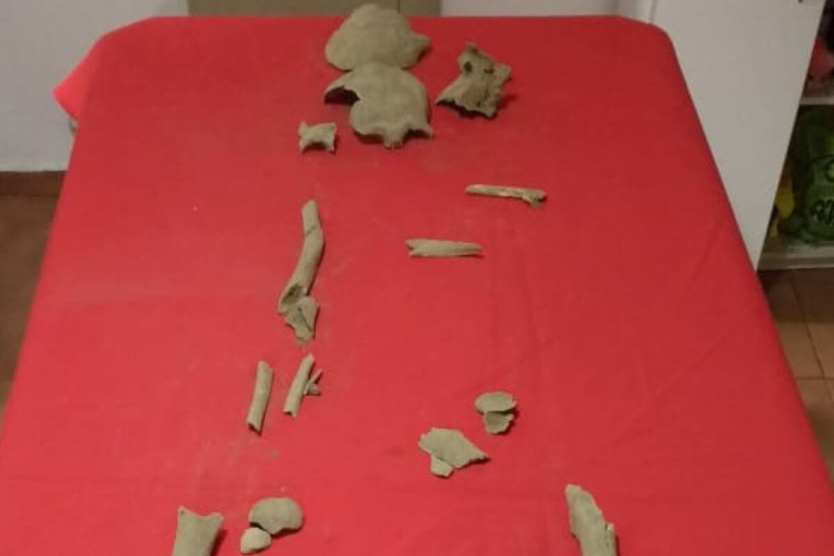 Restos encontrados en el Antigal del Pueblo de la Toma. (Gentileza: Centro de Investigaciones del Instituto de Culturas Aborígenes)