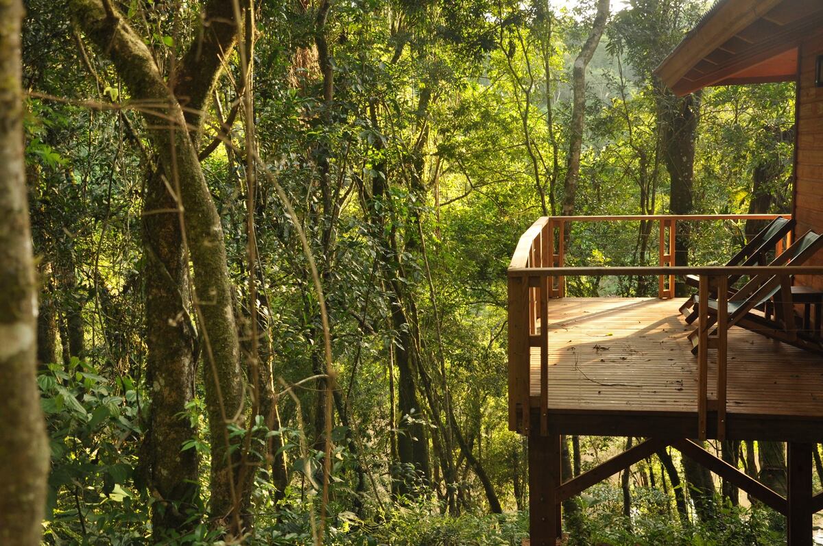 Gentileza: Moconá Virgin Lodge