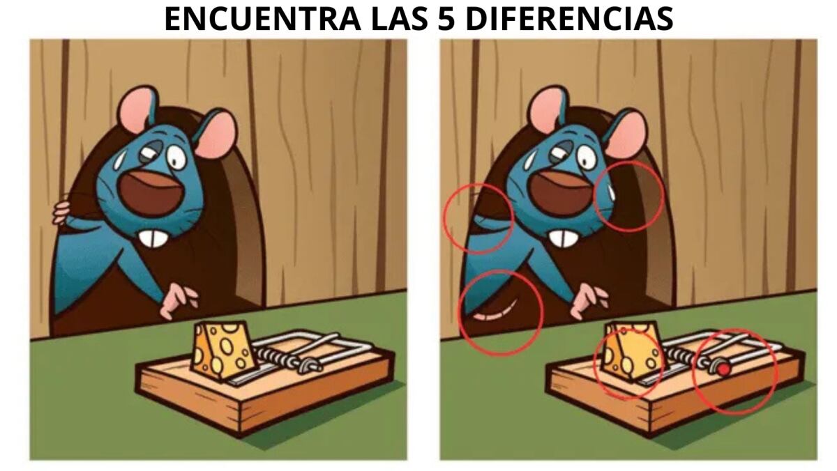 La solución del acertijo visual.