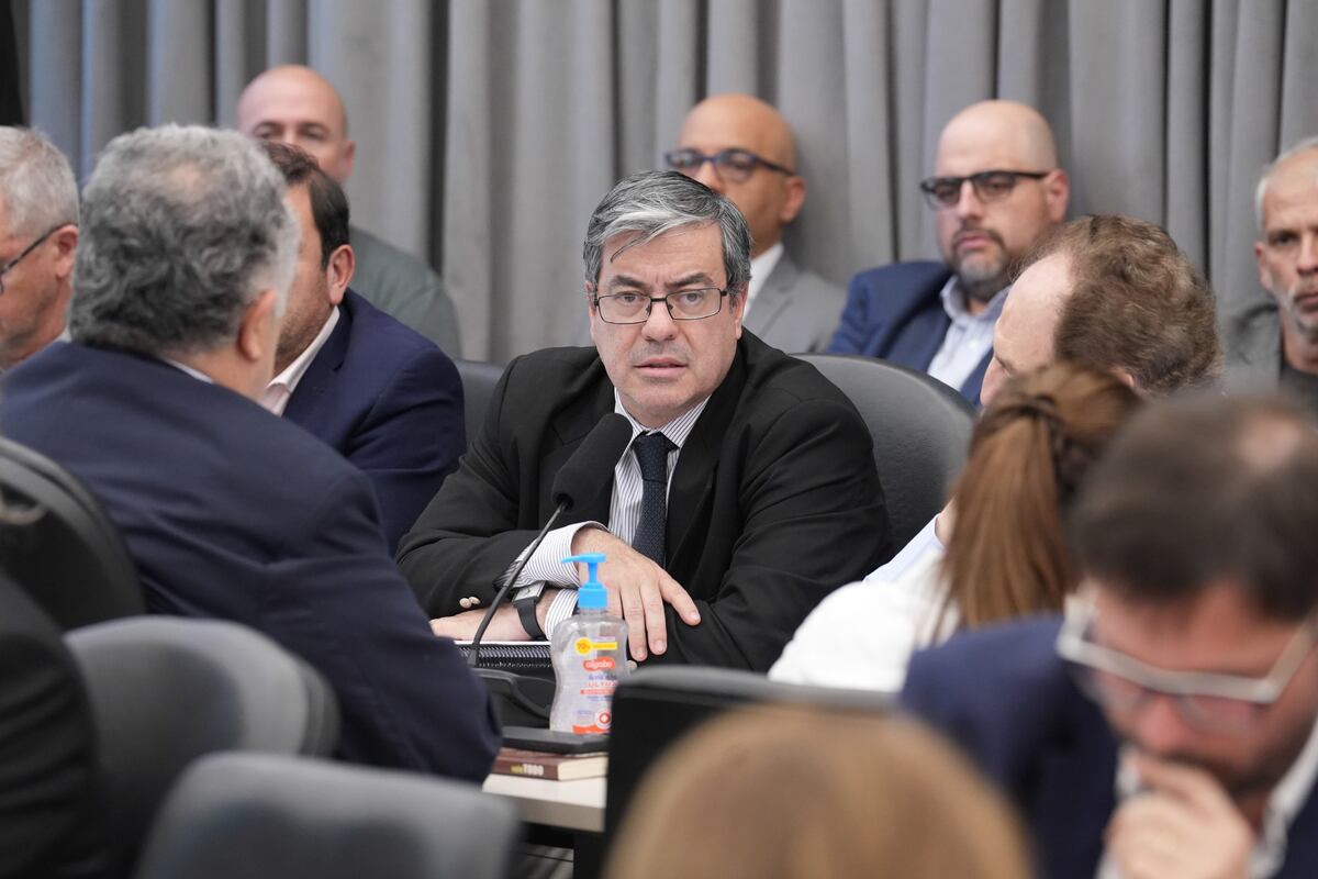 Germán Martínez, jefe del bloque Unión por la Patria, lideró el planteo para remover a Espert (Foto: HCDN)