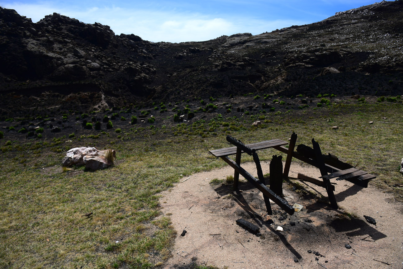 Parque Nacional Quebrada del Condorito, días después del incendio.  (Nicolás Bravo / La Voz)